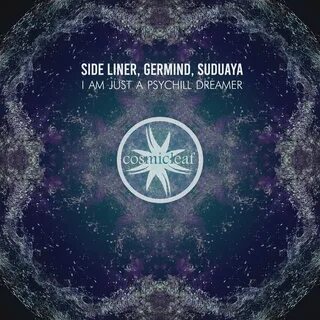 Side liner