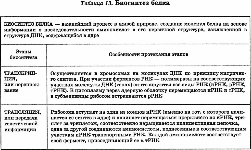 10 Класс биология Биосинтез белка таблица. Этапы биосинтеза белка таблица 10 класс. Биосинтез белка транскрипция и трансляция таблица. Этапы биосинтеза белка транскрипция и трансляция таблица.