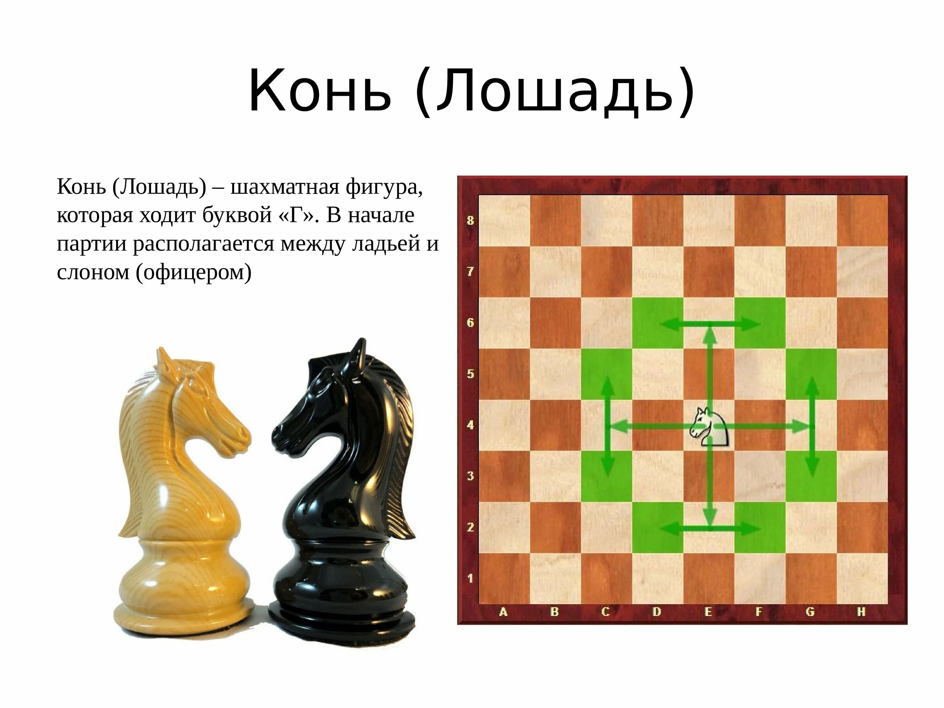 Название ладьи. Слон и Ладья в шахматах фигура. Конь шахматы вид спереди. Слон шахматная фигура как ходит. Шахматы слон Ладья офицер.