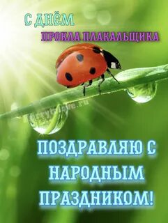 Прокл плакальщик