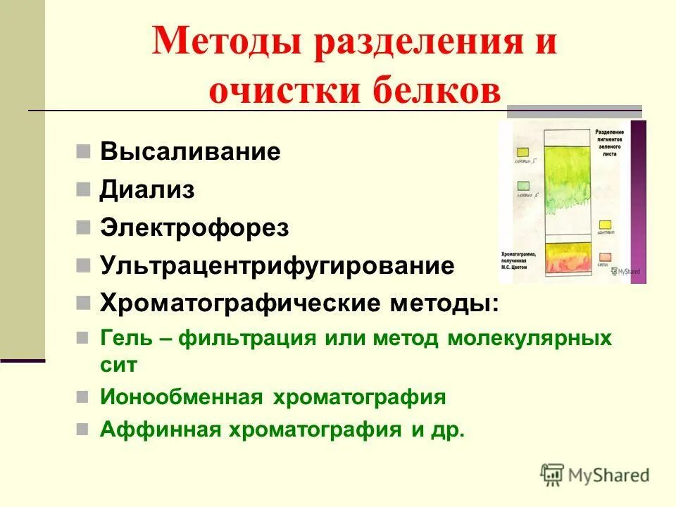 Разделение пигментов листа метод