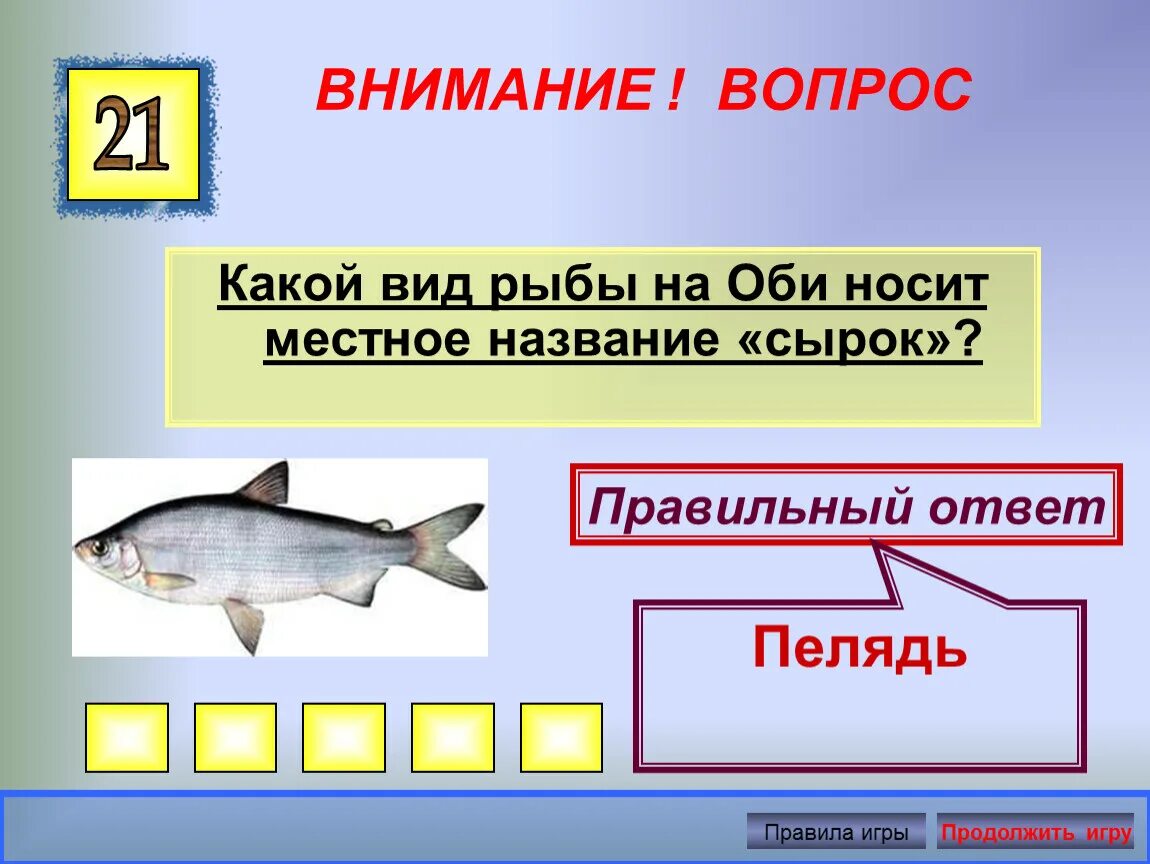 Рыба в Оби виды. Рыба на Оби название. Сырок рыба в Оби. Обь виды рыб. Виды оби