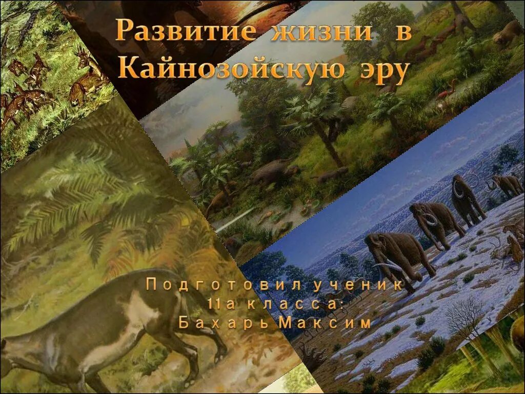 Развитие жизни в мезозойскую и кайнозойскую эры. Кайнозойская эра. кайнозойская эра периоды. развитие жизни в кайнозое. развитие жизни в мезозое и кайнозое 9 класс.