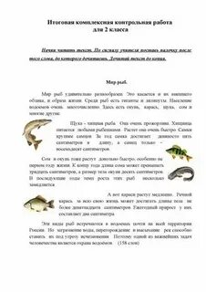 Итоговая 2