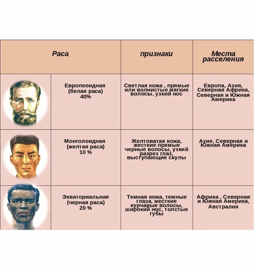 Таблица людей на земле. Таблица расы человека и характерные признаки. Таблица внешние признаки рас. Таблица раса человека признаки расы. Признаки европеоидной расы таблица.