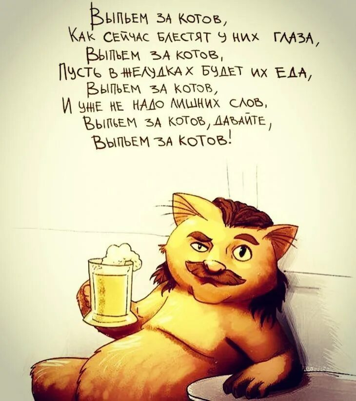 Цитаты про черную кошку. Цитаты о котах. Цитаты про котов. Высказывания о кошках. Высказывания о кошках.