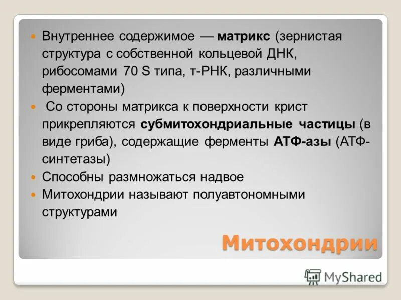 Кристы митохондрий функция. Клетка с цитоплазмой и митохондриями. Функции наружной мембраны митохондрий. Двумембранные органеллы митохондрии пластиды. Эукариотическая клетка клеточная мембрана.