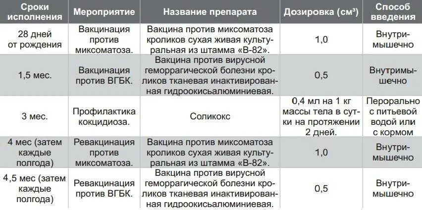 Через сколько месяцев можно повторно