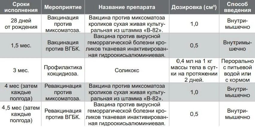 Через сколько приходит в охоту