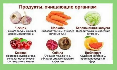 Какие овощи и фрукты полезны для печени