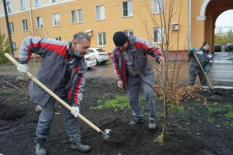 Новости новокузнецка сегодня