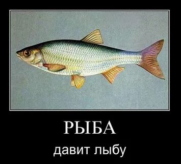 Душить рыбу