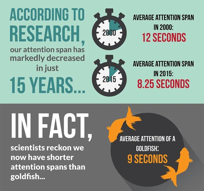 Attention span