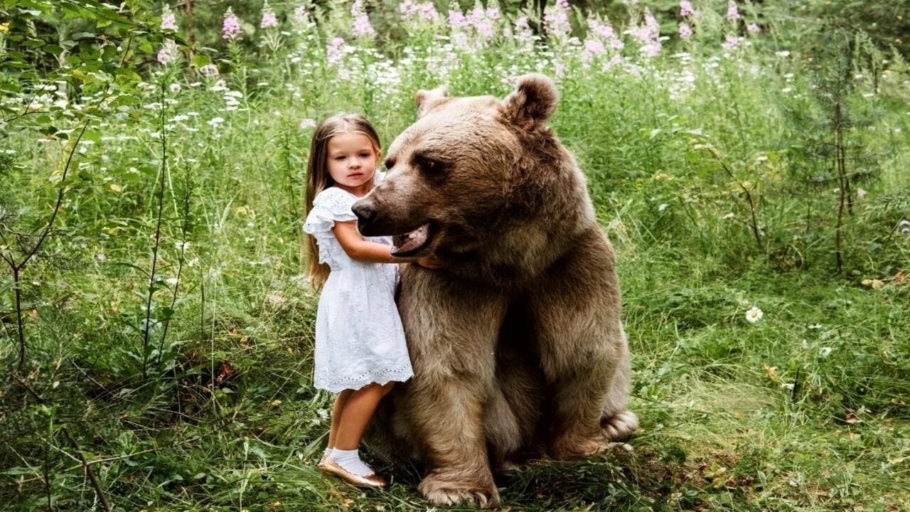 Какой медведь алиса. Красивый медведь. Добрый медведь. Фотосессия с медведем. Девочка и медведь.