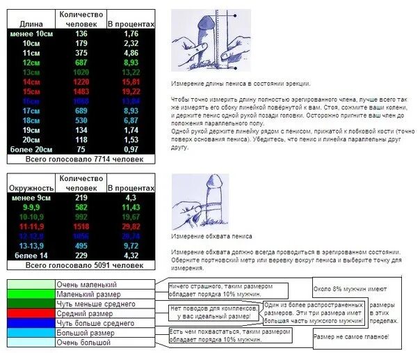 Размер члена нравится девушкам. Средний размер члена в состоянии эрекции. Фото мужского члена рядом с линейкой.
