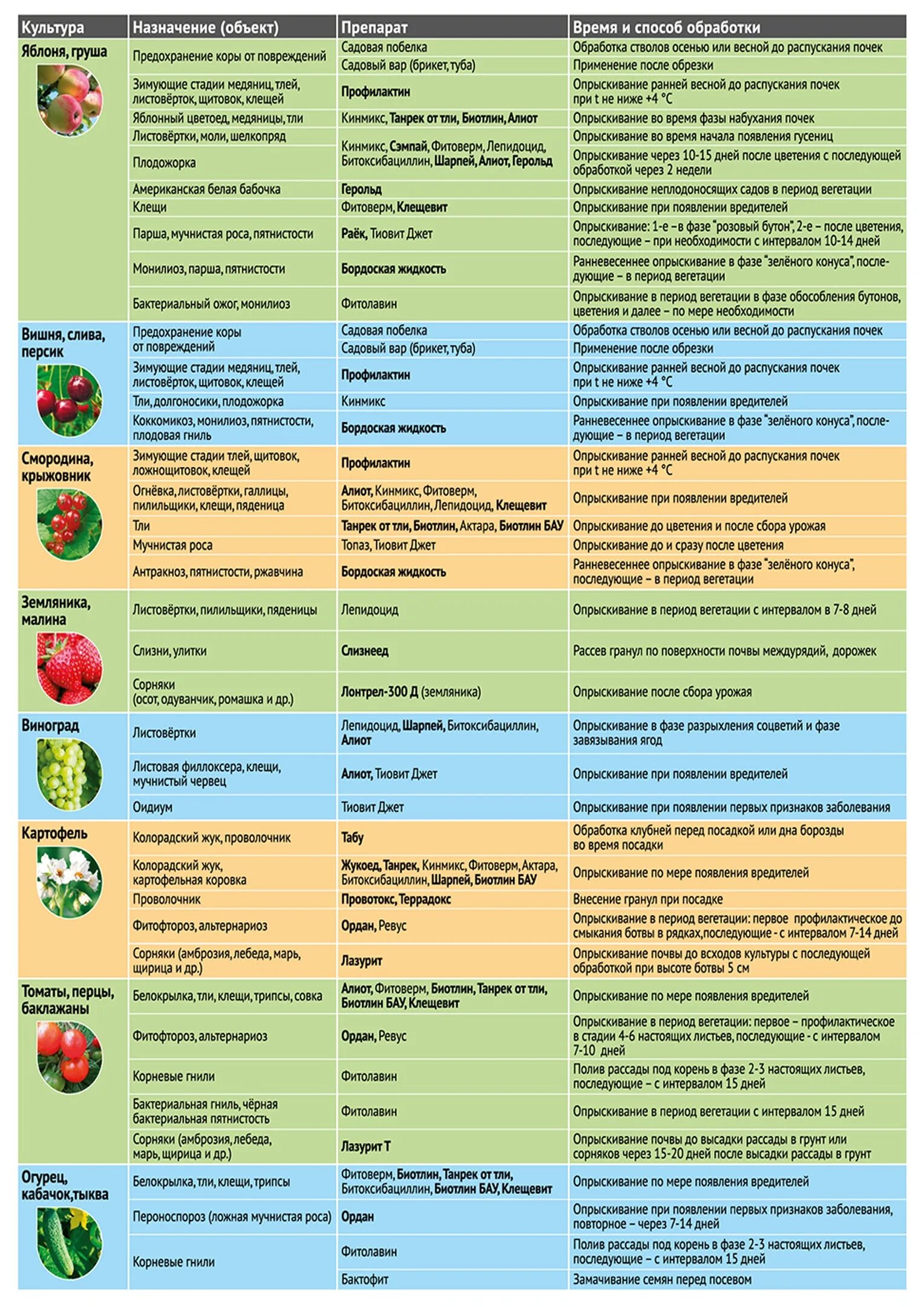Препараты для сада и огорода от болезней и вредителей. Препараты для обработки сада. Препараты для опрыскивания растений. Таблица препаратов для обработки сада и огорода. Вегетация растений опрыскивание