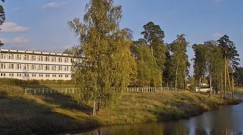 Солнечный в павлово нижегородская область