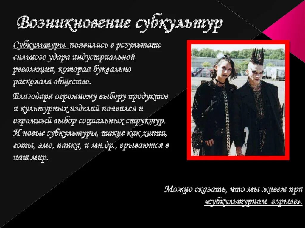 Что входит в субкультуру