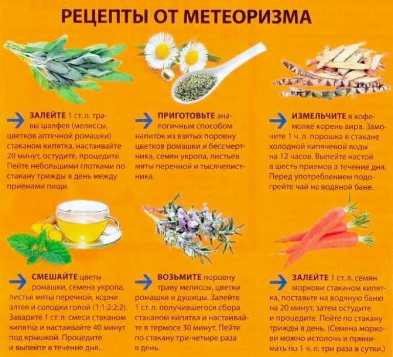 Укроп сколько пить