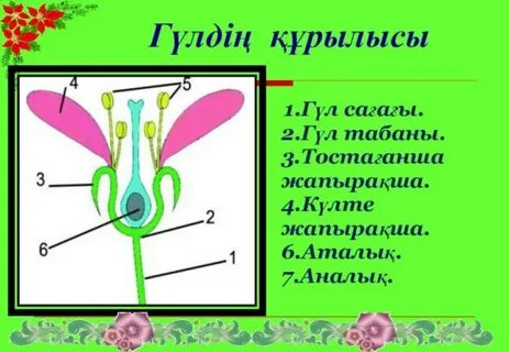 Жалаңаш секс