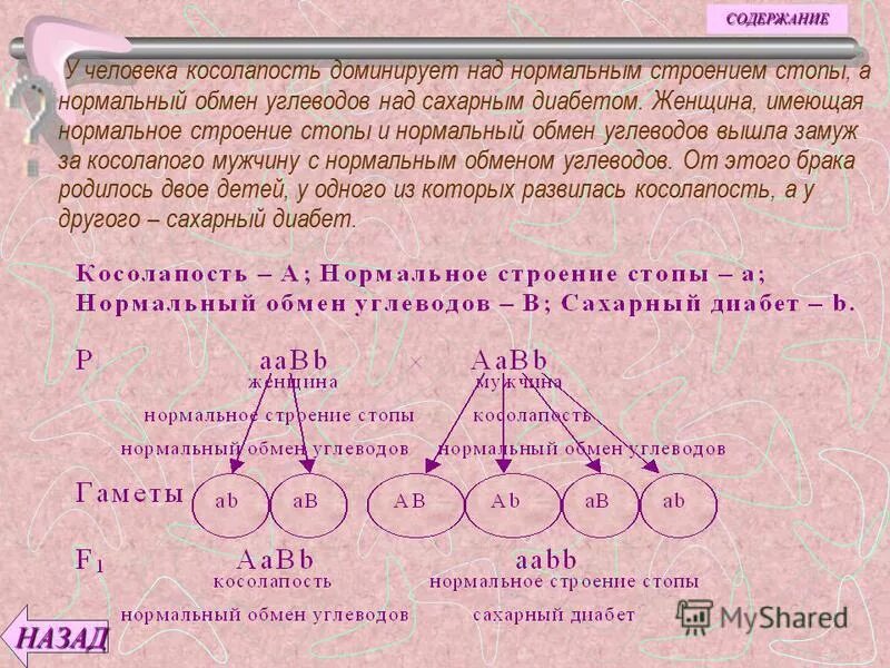 Нормальное строение. Генотипы мужчины и женщины. определи вероятность в генетических задачах. у человека косолапость доминирует над нормальным строением стопы. генотип женщины.