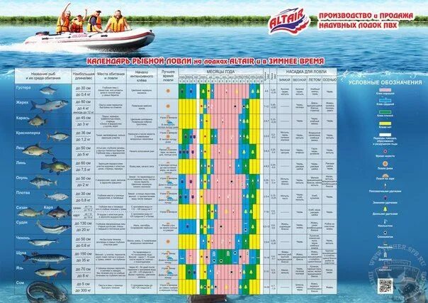 Таблица рыболова. Рыболовный календарь. Календарь рыбалки. Таблица клева рыбы.