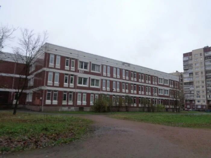 571 школа невского района официальный сайт. Начальная школа 291 красносельского района. Школа 302 фрунзенского района санкт-петербурга официальный сайт. Гбоу школа приморского района санкт-петербурга. Телефоны школ санкт петербурга.