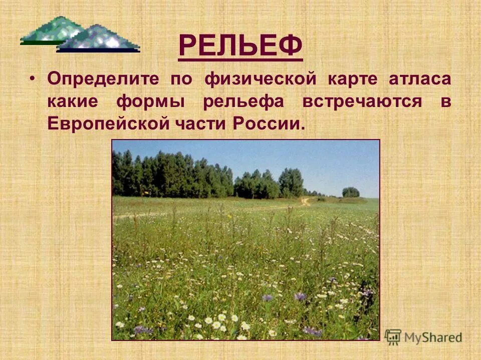 Природные условия Восточно европейской равнины. Растения Восточно европейской равнины. Какая форма рельефа в Астрахани. Восточно европейская равнина ребус. Восточно европейская равнина презентация 8 класс география