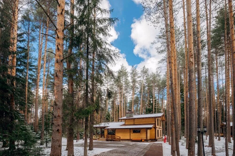 Охтинский парк. Мистолово Охта парк Ленинградская область. Курорт Охта парк деревня Мистолово. Лесная деревня Охта парк. Деревня Мистолово Всеволожский район Охта парк.