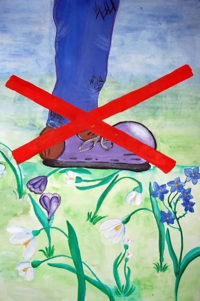 Тема берегите растения. Плакат берегите растения. Тема берегите растения. Рисунок беригитерастения. Берегите растения.