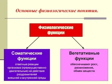 Физиологическая роль понятие