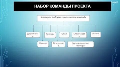 Организация команды проекта