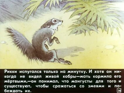 Рики тики тави главная мысль главные герои