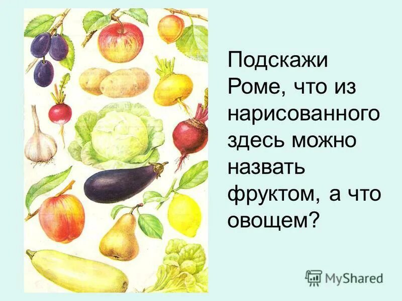Человек ест овощи. Человек овощ. Мальчик ест арбуз. Дурьян фрукт. Дурьян фрукт.