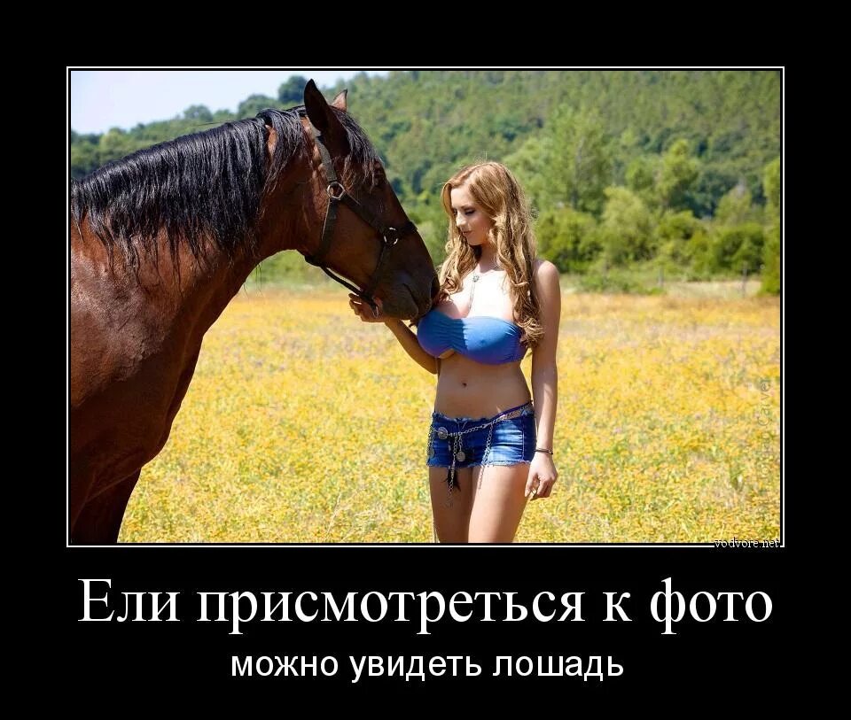 Лошадь говорит почему