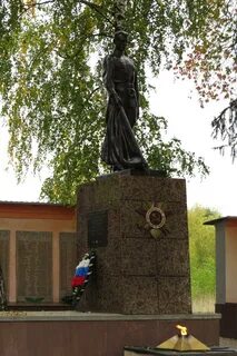 Н п козинки белгородской