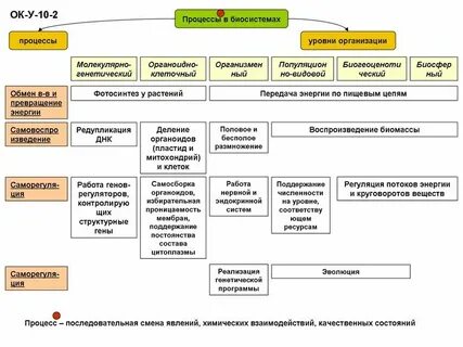 Организация биологических систем