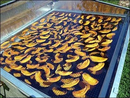 Solar foods