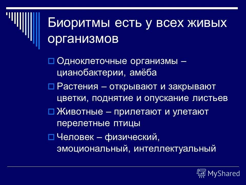 Биологические ритмы живых организмов. Суточные ритмы живых организмов. Биоритмы животных и растений. Биологические ритмы презентация. Ритмы живой природы