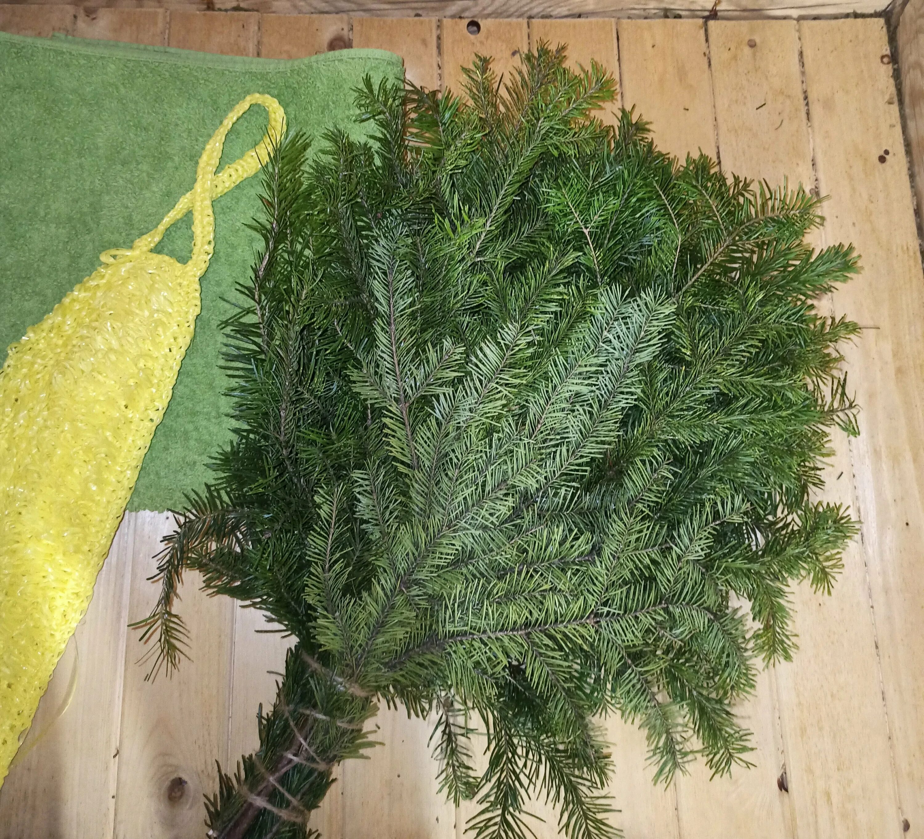 Пихтовый и можжевеловый веник. Сухой веник для бани. Как запаривать пихтовый веник. Пихта веник. Пихтовый и можжевеловый веник.