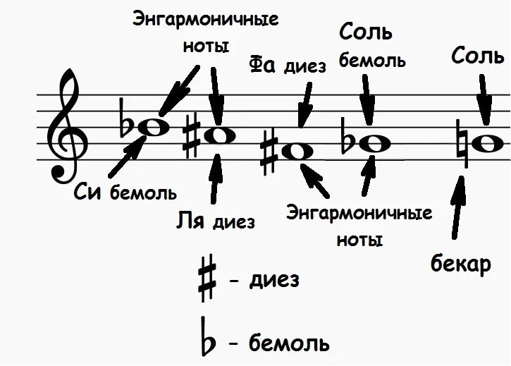 Диез что это. Ля диез на нотном стане. Диезы и бемоли на нотном стане. До диез на нотном стане. Си Бекар на нотном стане.