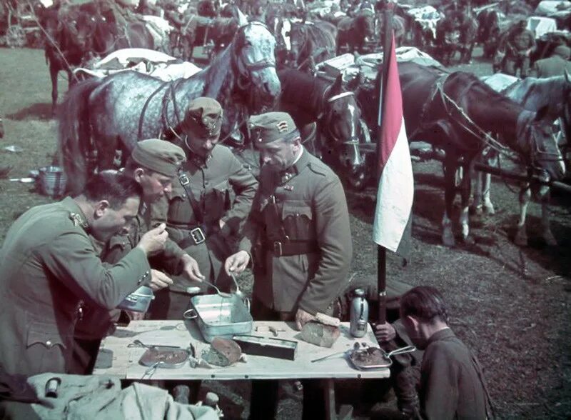 Венгры во второй мировой войне. Солдаты Венгрии второй мировой войны. 1940 год румыния