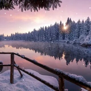 Заставки на телефон природа зима