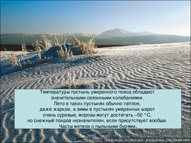 Средняя температура летом в пустыне. Зима в пустыне. Климат в пустыне зимой. Пустыни России зимой. Температура пустыни зимой.