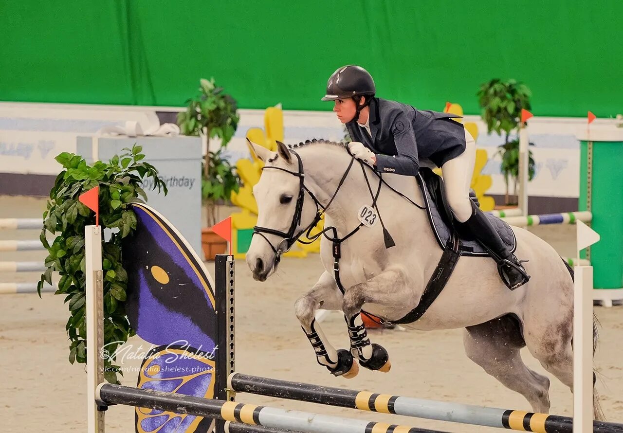 Голден хорс таганрог. Кск голден хорс. Golden horse тенгинка отзывы. Golden horse тенгинка отзывы. Golden horse таганрог.