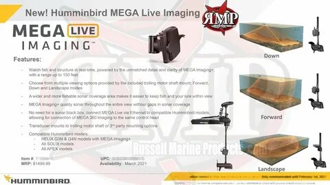 Live imaging