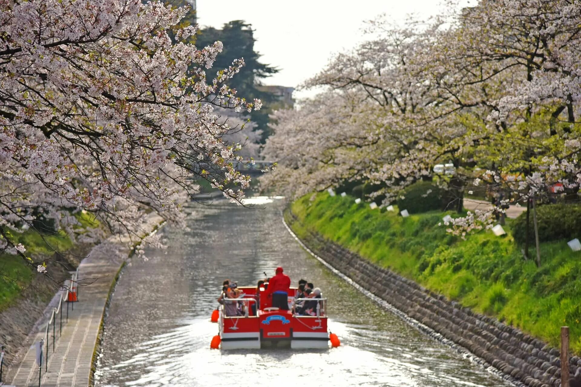 Toyama 2. Тояма 5. toyama 5,8. тояма япония. кейтиро тояма.