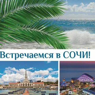 Тур санкт петербург сочи с перелетом