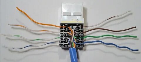 Cat 5e подключение интернет