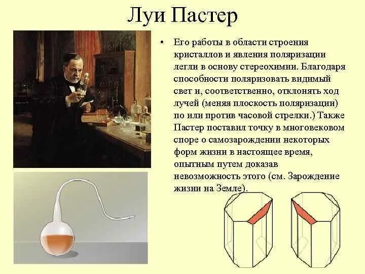 Годы жизни луи пастера. Годы жизни луи пастера